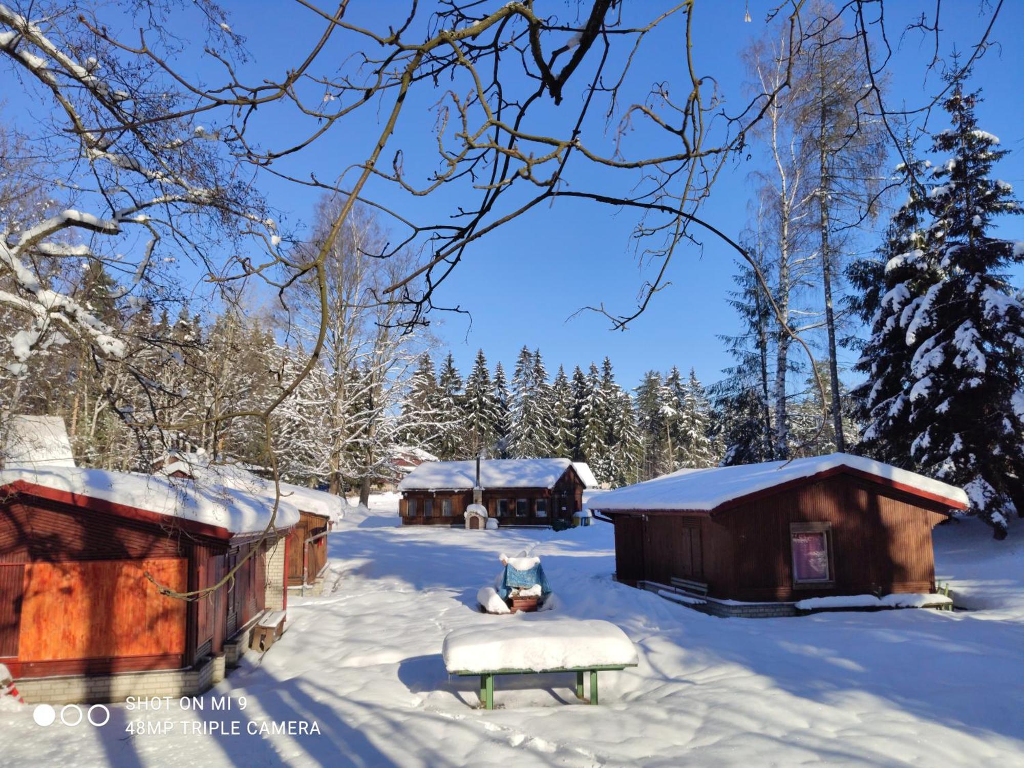 Lesni Chaty "Hogo Fogo" Kytlice Exterior foto