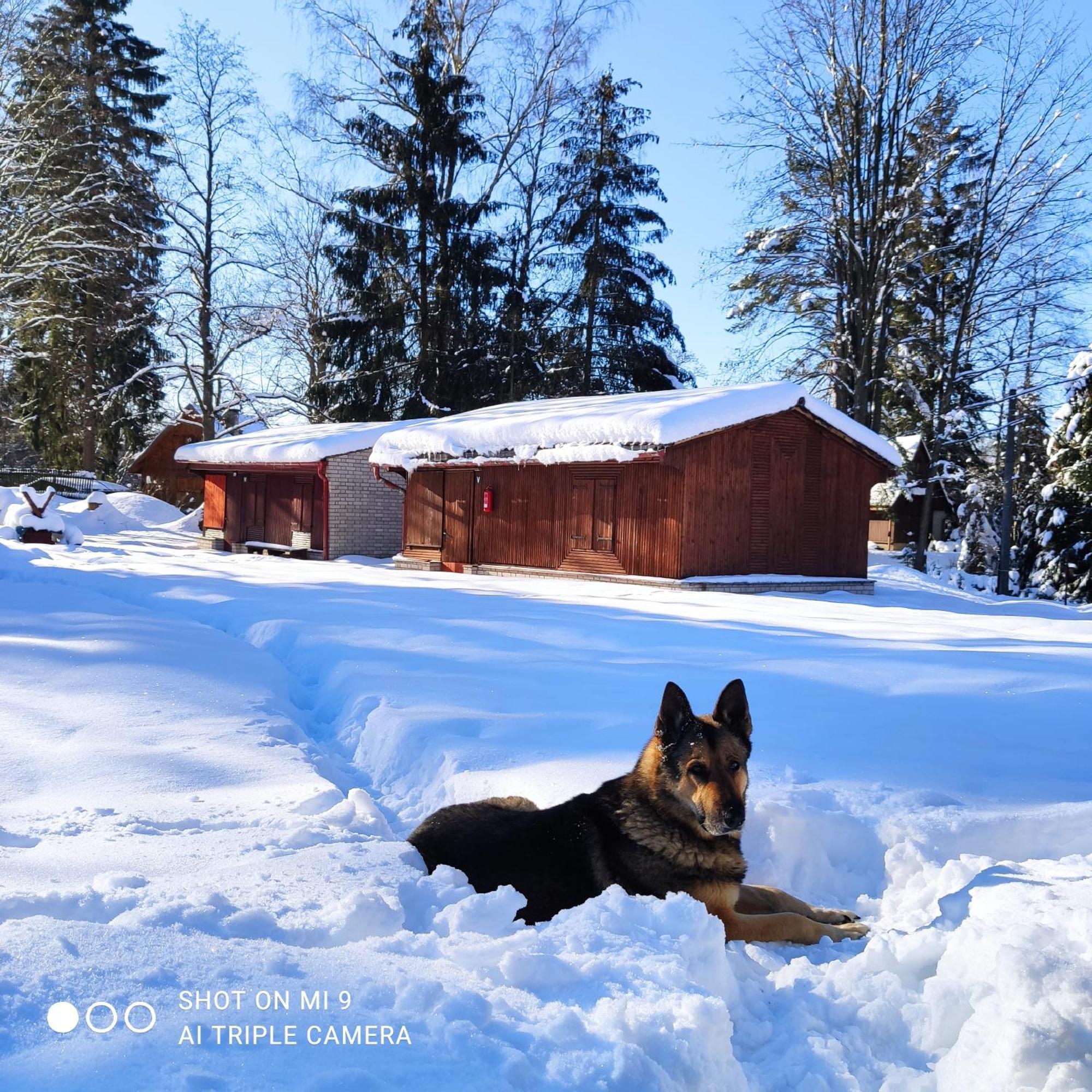 Lesni Chaty "Hogo Fogo" Kytlice Exterior foto