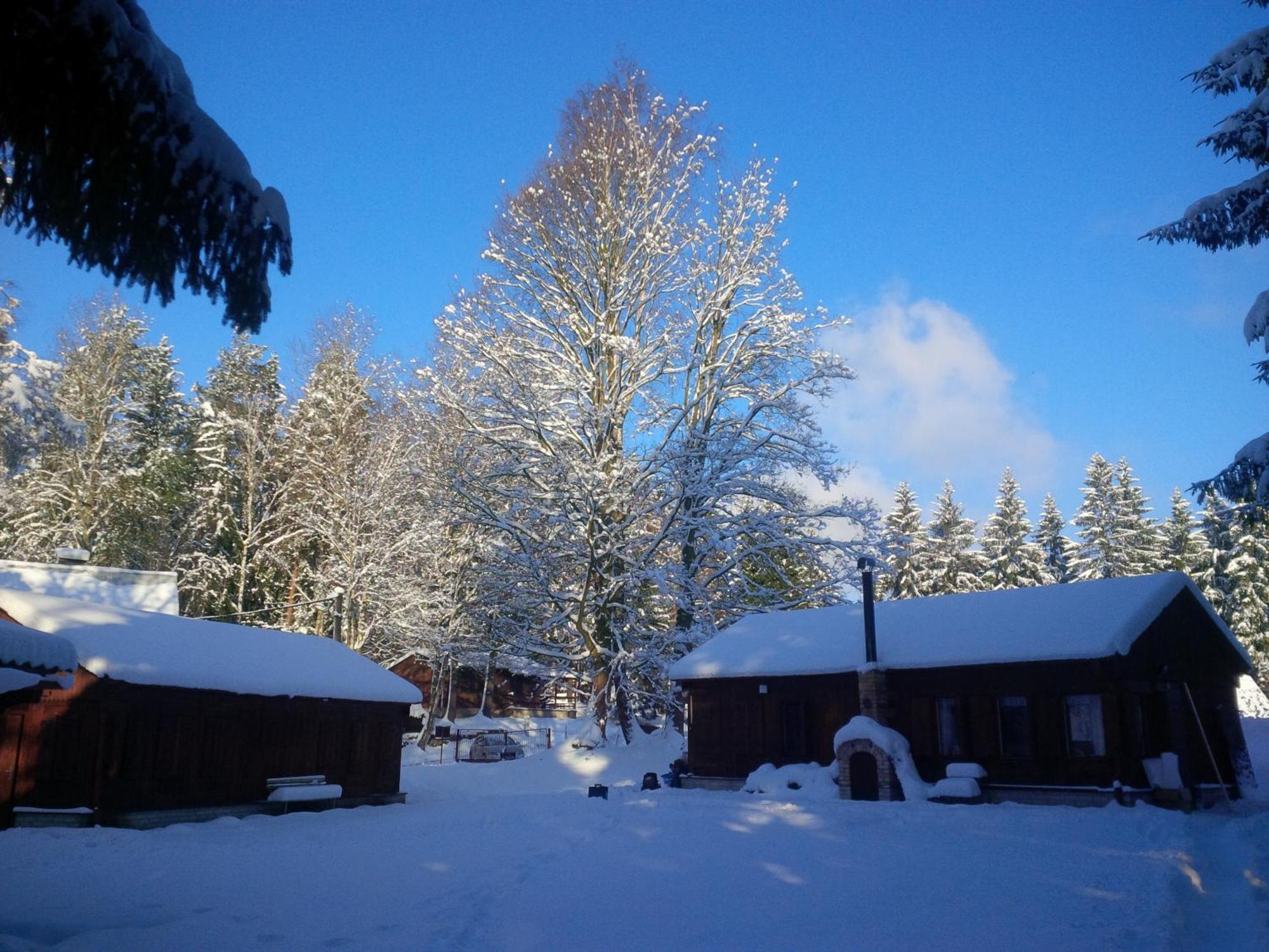 Lesni Chaty "Hogo Fogo" Kytlice Exterior foto